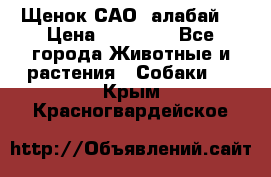 Щенок САО (алабай) › Цена ­ 10 000 - Все города Животные и растения » Собаки   . Крым,Красногвардейское